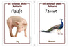 Farm Animals Flashcards x 4 - FREE